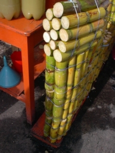 In Brasilien wird Zuckerrohr zur Ethanol-Herstellung verwendet (Foto: Frank Hüfner/pixelio.de)