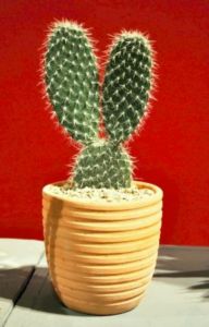 Vielleicht der Stromerzeuger der Zukunft (Foto: pixelio.de/Gnubier)