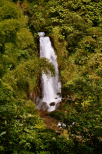 Regenwälder werden immer weiter zurückgedrängt (Foto: W. Weitlaner/Dominica)