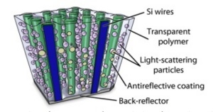 Solarzelle mit Siliziumdrähten (Foto: Caltech/Michael Kelzenberg)