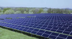 Phoenix Solar dank Rekord-Schlussquartal in Gewinnzone (Foto: phoenixsolar.de)