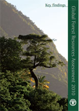 Der gesamte Global Forest Resources Assessment Bericht erscheint erst im Okotober