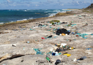 Überall auf der Welt: Plastikmüll am Meeresstrand (Foto: W. Weitlaner)