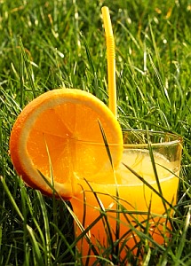 Wohl bekomm's: Orangensaft neutralisiert fettreiches Essen (Foto: pixelio.de/Kusjada)