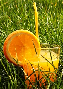 Wohl bekomm's: Orangensaft neutralisiert fettreiches Essen (Foto: pixelio.de/Kusjada)