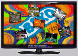 Made in CALSIWOOD: Kunstfilme, Filmkünste, Produktvideos und vieles mehr (Bild:©BEKO)