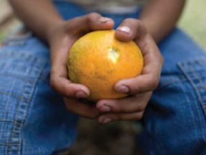 Kinderausbeutung in US-amerikanischer Landwirtschaft (Foto: hrw.org)