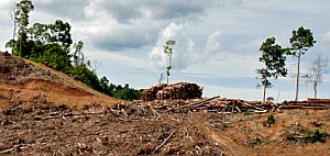 Indigene Waldbewohner betrifft jede Entwicklung im Regenwald empfindlich (Foto: WWF/Komar)