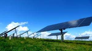 Solarsektor vor Konsolidierung und Ausverkauf (Foto: pixelio.de, Rainer Sturm)