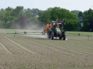 Landwirtschaft als Klimaschützer oder Umweltsünder? (Foto: Dieter Schütz/pixelio.de)