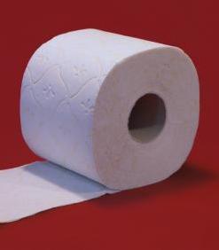 Toilettenpapierrolle: Vielen Unternehmen fehlt der Kostenüberblick (Foto: pixelio.de, Jens Goetzke)