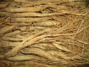Ginseng: Tschechischer Bedarf enden wollend (Foto: www.pixelio.de / Manfred Schütze)