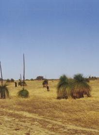 Australisches Outback: Investoren an guten Böden interessiert (Foto: pixelio.de, tinepix)