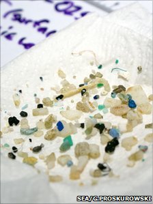 Plastikmüll aus dem Meer: Mengen sind etwas zurückgegangen (Foto: sea.edu)