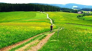 Natur: Beste Voraussetzung für Entspannung und Selbstreflexion (Foto: pixelio.de/Sturm)