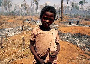 Verbrannte Wälder: Unser Lebensstil überfordert die Erde (Foto: WWF)
