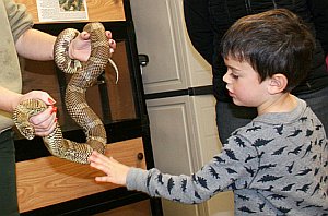 Bub mit Schlange: Gar keine Angst zu haben bringt Probleme (Foto: Flickr Creative Commons/Woodey)