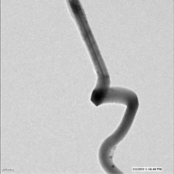 Im Mikroskop: Nanodraht wird beim Akku-Laden lang und kräuselt sich (Foto: sandia.gov)