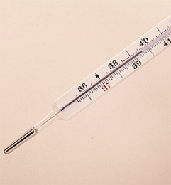 Fieberthermometer: Hohe Verantwortungsgefühl treibt viele krank zur Arbeit (Foto: pixelio.de/TommyS)