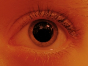 Auge: Komplexe Struktur lässt sich nachbilden (Foto: pixelio.de, Claudia Hautumm)