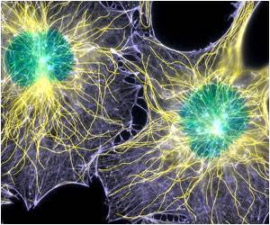 Zellen: Gerät kann Krebs im Kopf und Nacken 