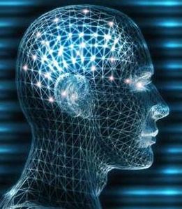 Gehirnaktivität: IQ-Tests sagen mehr aus als nur Intelligenz (Foto: pax-game.de)