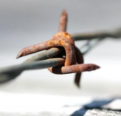 Stacheldraht: Rassismus blüht in Deutschland auf (Foto: pixelio.de, M. Beßler)