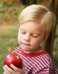 Kind mit Apfel: Umstellung auf Bio senkt Pestizid-Dosis (Foto: FlickrCC/Grubbs)