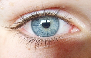 Auge: Zwei Bildschirme sind um einer zuviel (Foto: pixelio.de/Bthomas)
