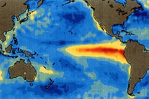 El Nino im Pazifik: Bäume erlauben 1.100-jährigen Rückblick (Bild: NOAA)