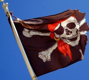 Piratenflagge: Schwellenländer belasten Branche (Foto: pixelio.de, Hofschlaeger)