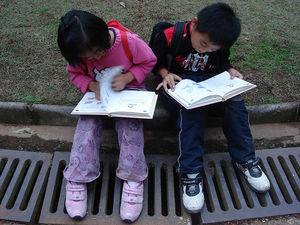 Lesen: Bei vielen Kindern Seltenheit (Foto: flickr.com, <cleverCl@i®ê>)