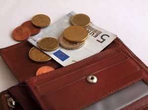 Geld: Das Handy soll künftig die Börse ersetzen (Foto: pixelio.de/mildenberger)