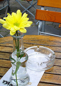 Leerer Aschenbecher: Rauchstopp-Hürden bei Jungen hoch (Foto: FlickrCC/Cappell)