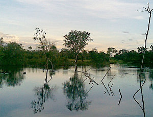 Xingu-Fluss: Rechtsstaat bei Belo Monte bedeutungslos (Foto: FlickrCC/Giacomazi)