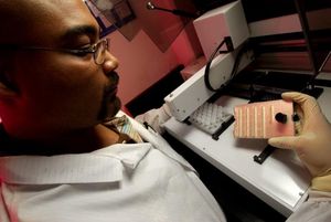 Forscher: HIV und Hepatitis unter der Lupe (Foto: CDC/James Gathany)