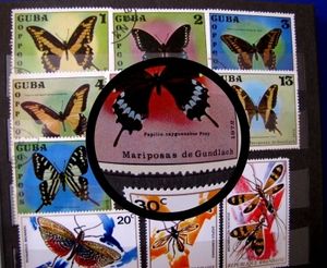 Bildersuche: Worte spielen eine Rolle (Foto: pixelio.de, Rolf Handke) 