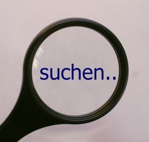 Nur suchen: Zu wenig für Unternehmen (Foto: pixelio.de, Stephanie Hofschlaeger) Nur suchen: Zu wenig für Unternehmen (Foto: pixelio.de, Stephanie Hofschlaeger)