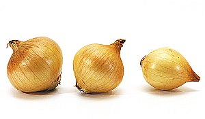 Zwiebel: Bald findet auch die äußere Schale Verwendung (Foto: FlickrCC/Soric)