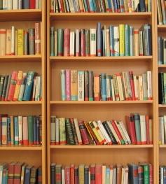 Bücherregal: Borders muss sich Online-Rivalen beugen (Foto: pixelio.de, Altmann)