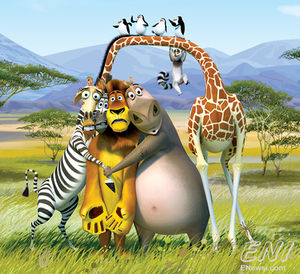 Madagascar: Verhandlungen laufen (Foto: flickr.com) Madagascar: Verhandlungen laufen (Foto: flickr.com)