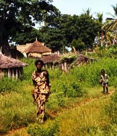 Afrikanisches Dorf: Politik bei Hungerkrise gefordert (Foto: pixelio.de, Jerzy) Afrikanisches Dorf: Politik bei Hungerkrise gefordert (Foto: pixelio.de, Jerzy)