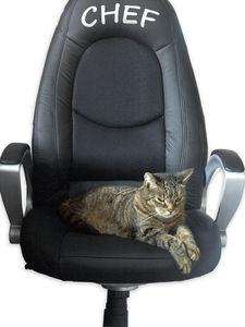 Chefsessel: Mitarbeiter wünschen sich mehr Lob (Foto: pixelio.de/asrawolf) Chefsessel: Mitarbeiter wünschen sich mehr Lob (Foto: pixelio.de/asrawolf)