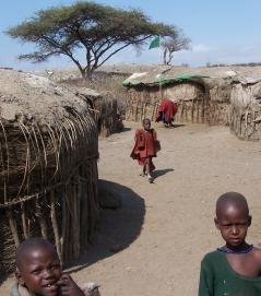 Afrikanisches Dorf: Ältere Kinder von Malaria bedroht (Foto: pixelio.de, Schütz) Afrikanisches Dorf: Ältere Kinder von Malaria bedroht (Foto: pixelio.de, Schütz)