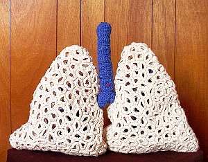 Lunge: Zucht im Labor macht Tierversuche überflüssig (Foto: FlickrCC/Domanic)