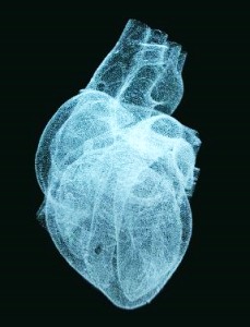 Herz: Röntgenstrahl verändert auch Ärztekörper (Foto: pixelio.de/Goetzke)