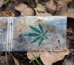 Drogen: Beliebt in sozialen Netzwerken (Foto: pixelio.de, M. Schimmel)