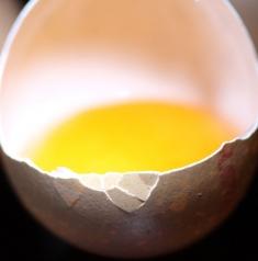 Eiweiß: Neuer Ansatz schaltet Allergie aus (Foto: pixelio.de, Lichtbild Austria)