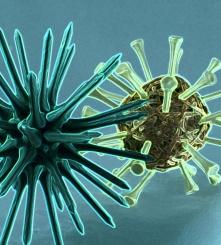 Virus: Könnte Behandlung von Krebs grundlegend ändern (Foto: pixelio.de, Aka) Virus: Könnte Behandlung von Krebs grundlegend ändern (Foto: pixelio.de, Aka)