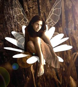 Fee: Was würden Sie sich wünschen? (Foto: flickr, Alejandra Mavroski)